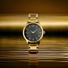 TITAN watch , Gold